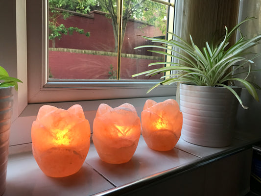 three rose shaped tea-light holders line up
