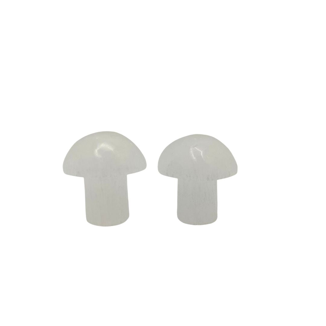Selenite polished mushroom 2-3cm
