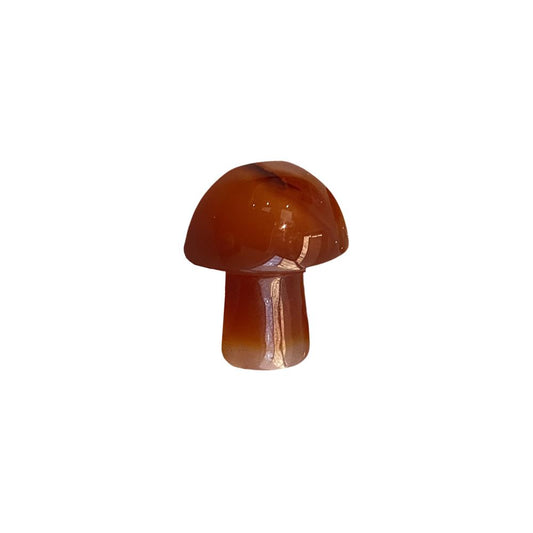 Red Carnelian Mushroom 2cm - Case of 5