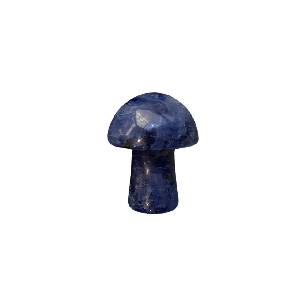 Sodalite Mushroom 2cm - Case of 5