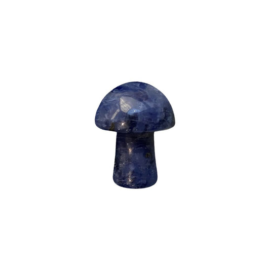 Sodalite Mushroom 2cm - Case of 5
