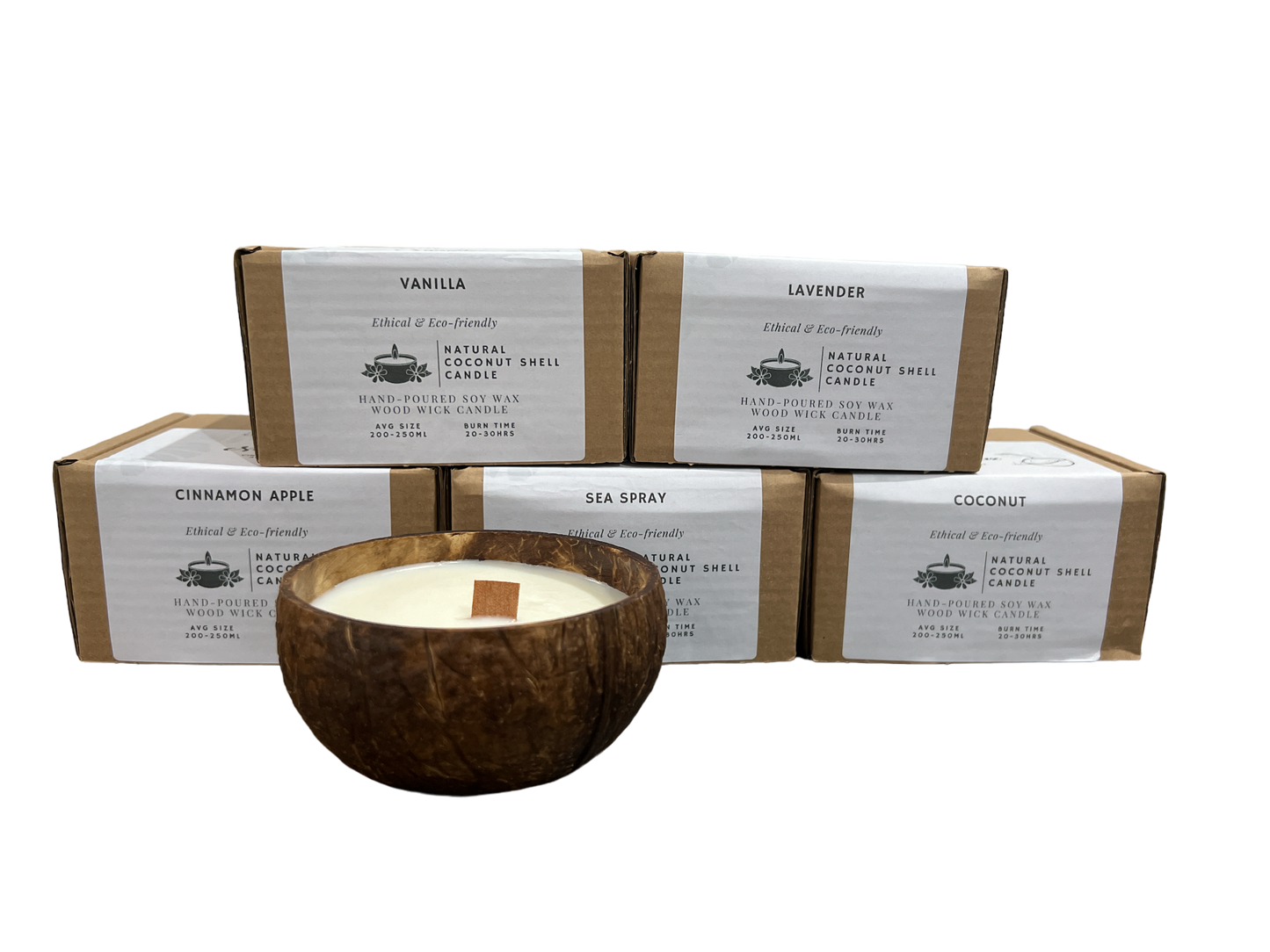 Cinnamon apple coconut shell candle - Case of 3