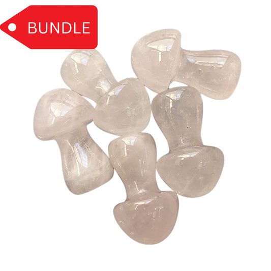 Assorted pack of mushrooms 3.5cm - 25 units