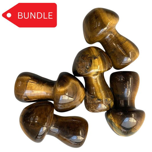 Assorted pack of mushrooms 3.5cm - 50 units