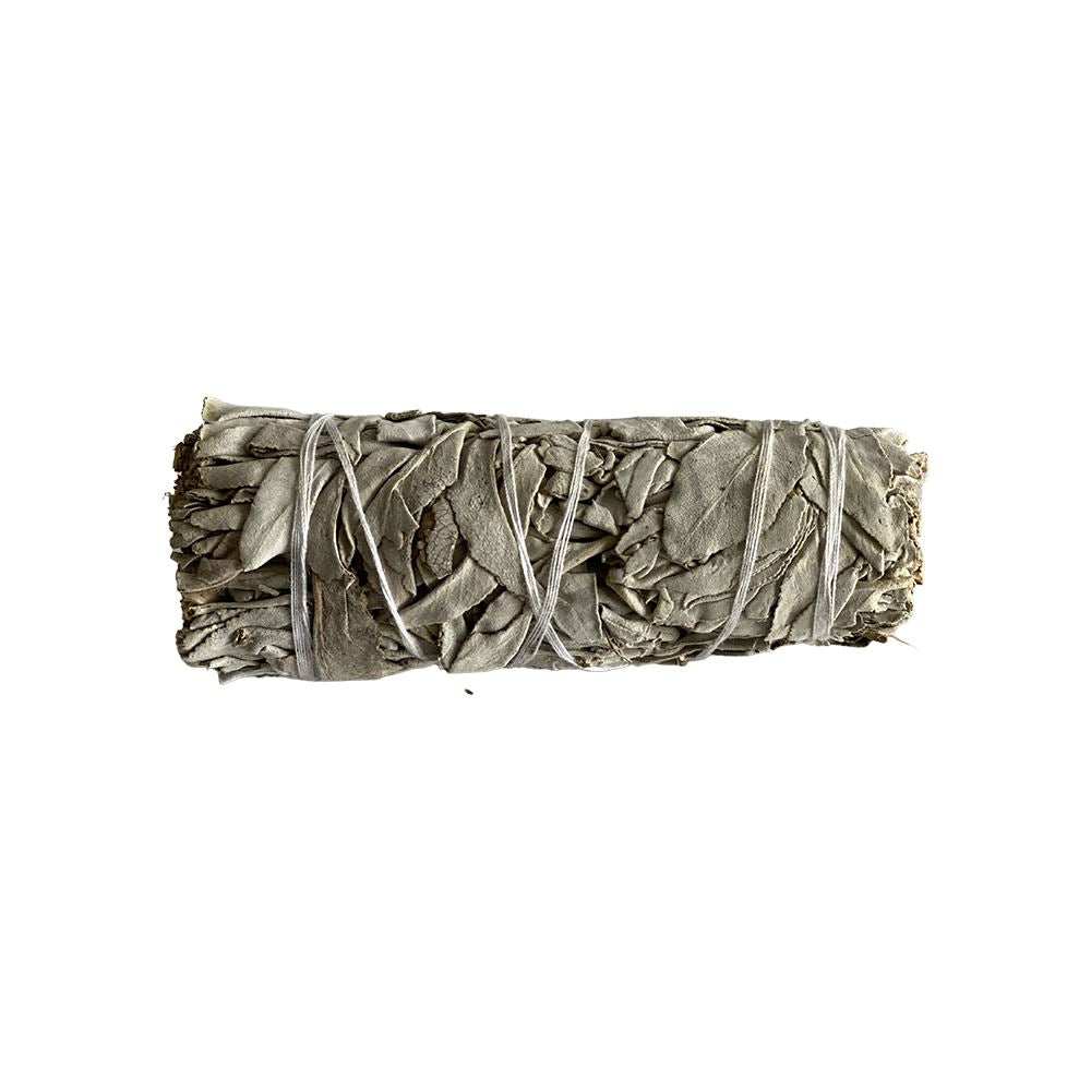 White Sage 4" Smudge Stick - Case of 3
