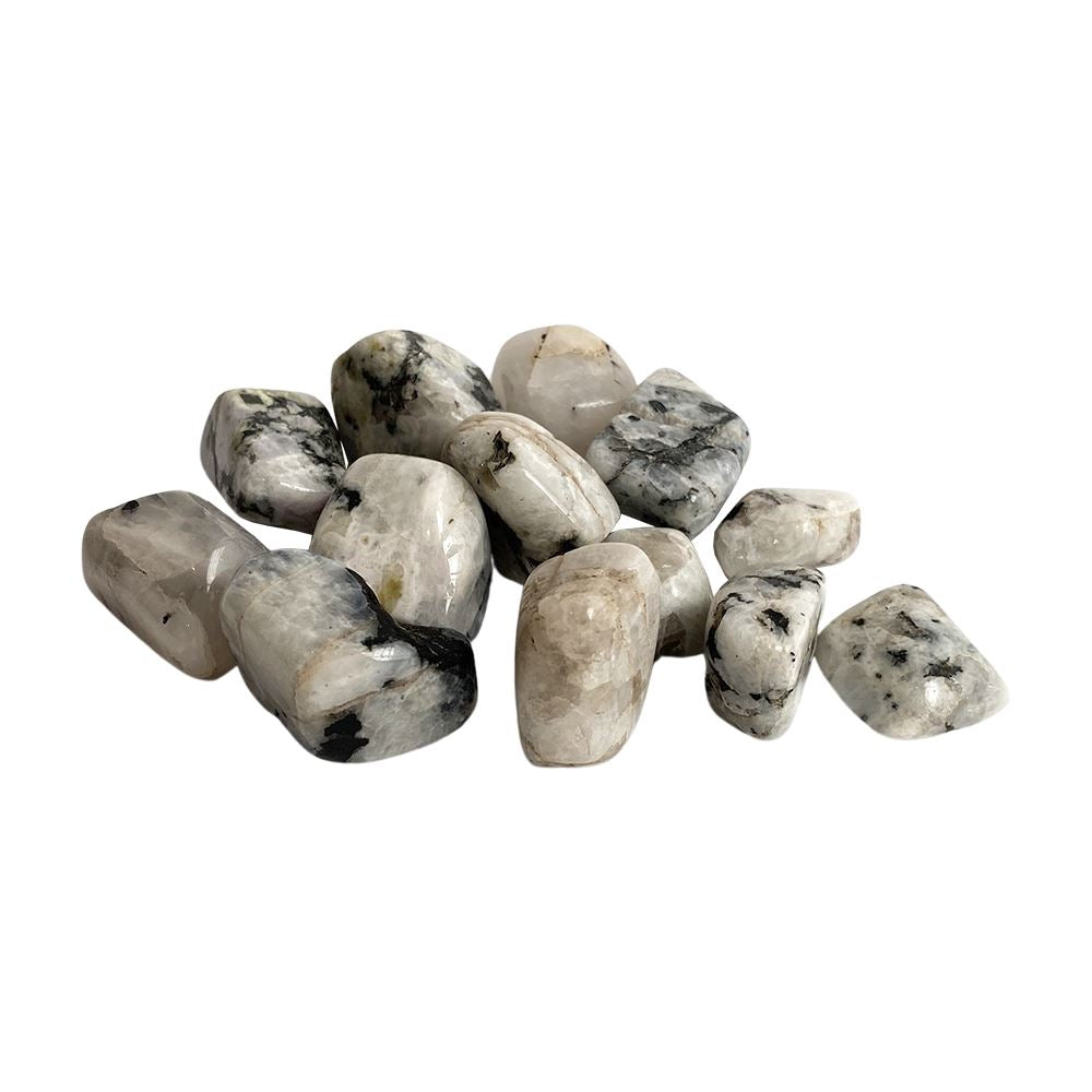Rainbow Moonstone Tumbled Crystals 250g - Case of 2