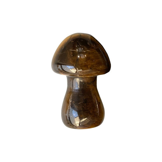 Tiger's Eye Mushroom 3.5cm - Case of 5