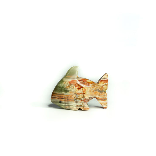 Shark (onyx) - small - Case of 10