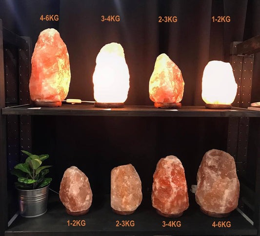 8 Salt lamps are lined up on 2 shelves to highlight the size difference