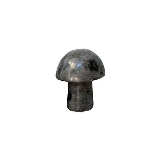 Labradorite Mushroom 2cm - Case of 5
