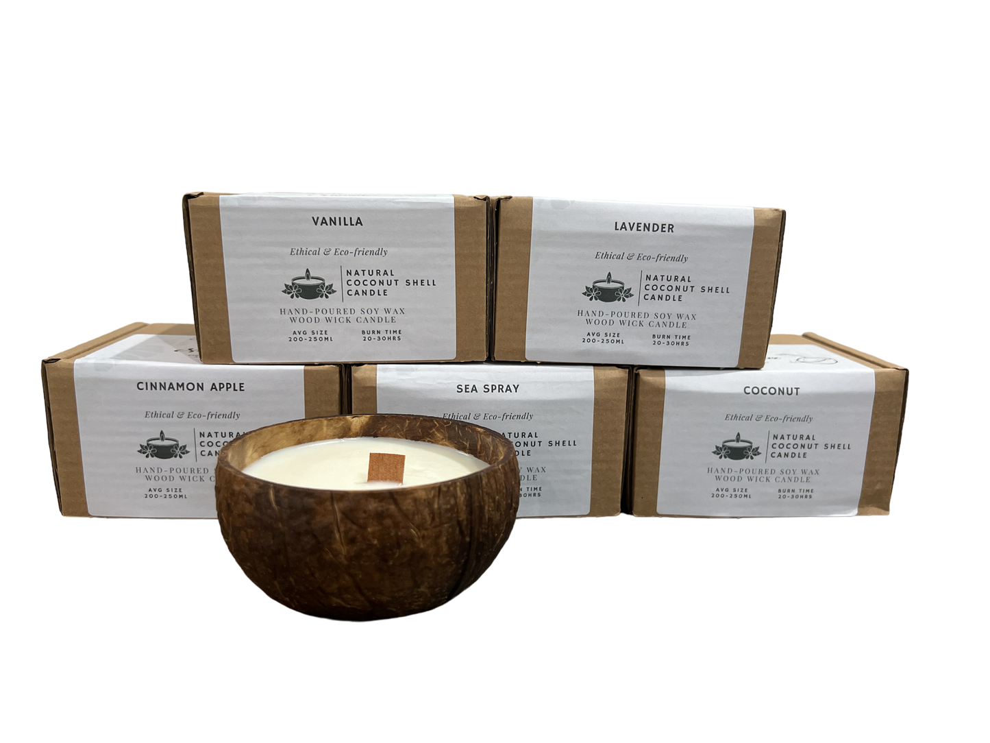 Cinnamon apple coconut shell candle - Case of 6
