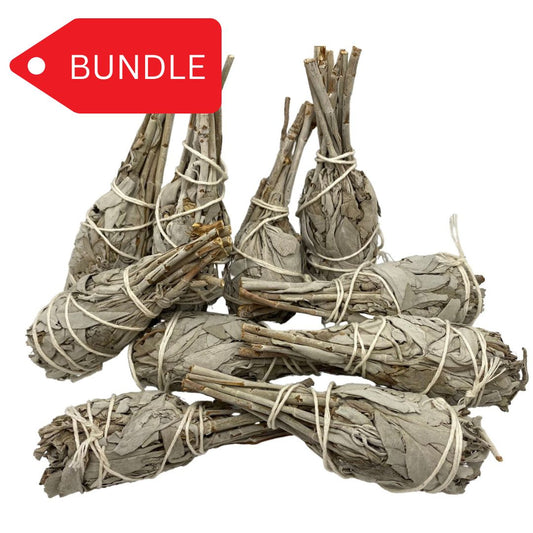 Torch white 4" smudge stick bundle