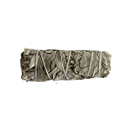 White Sage 4"  Smudge Stick - Case of 3