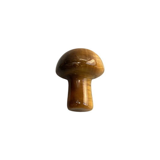 Tiger's Eye Mushroom 2cm - Case of 5