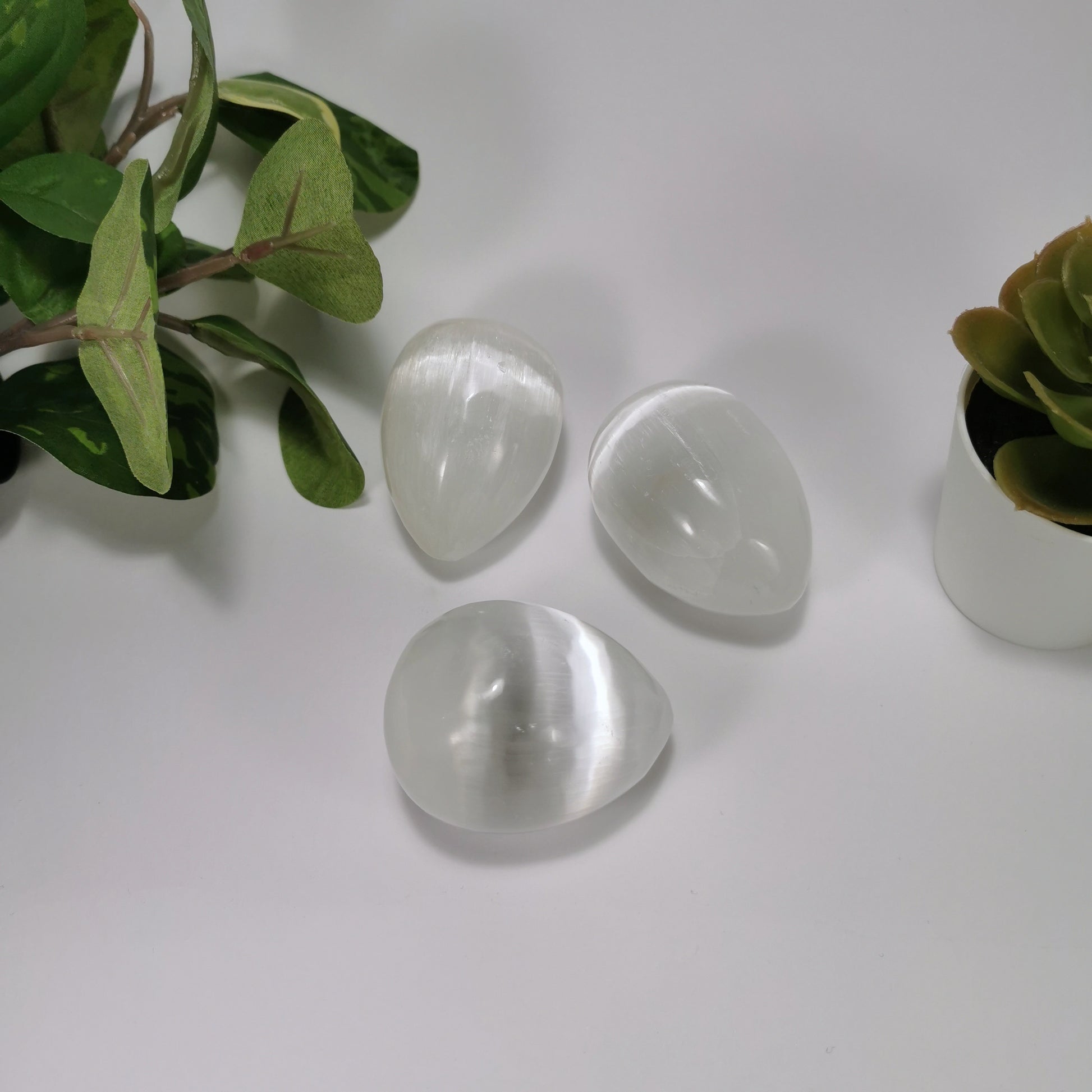 Selenite white eggs - Case of 5